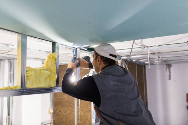 Best Cellulose Insulation  in Camn, DE