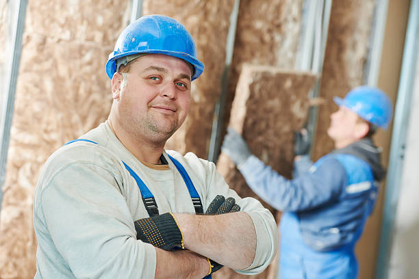 Best Fiberglass Insulation  in Camn, DE